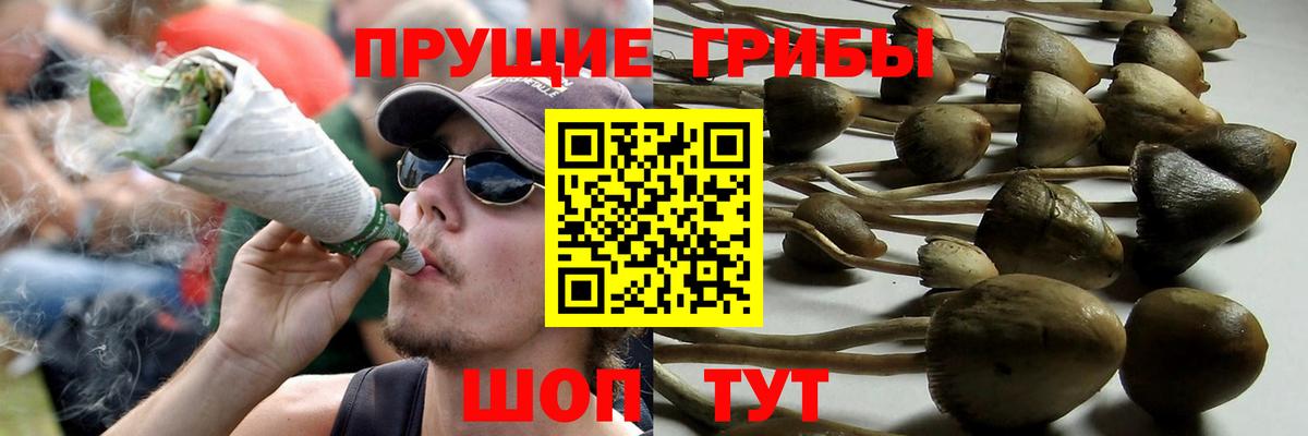 Псилоцибиновые грибы Psilocybe  Вход с VPN  наркотики  Нижневартовск 